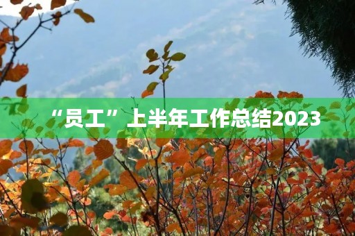 “员工”上半年工作总结2023