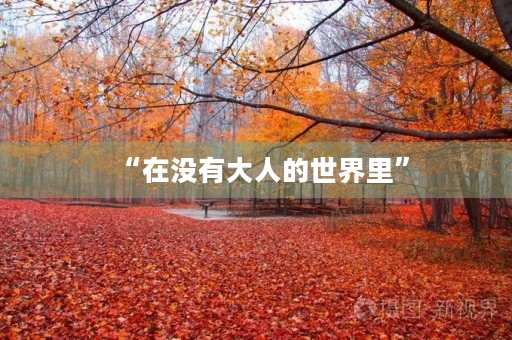 “在没有大人的世界里” “在没有大人的世界里”