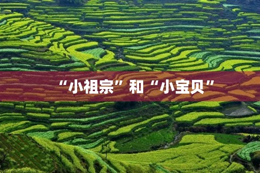 “小祖宗”和“小宝贝”