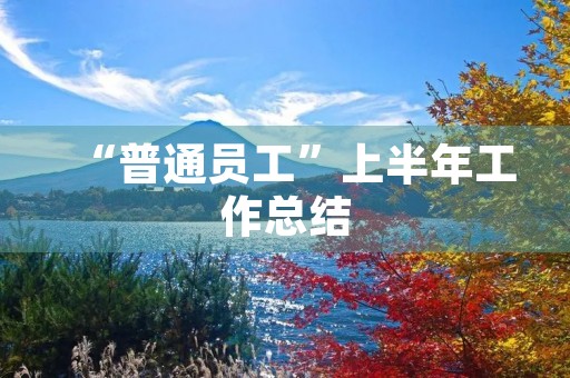 “普通员工”上半年工作总结