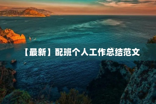 【最新】配班个人工作总结范文