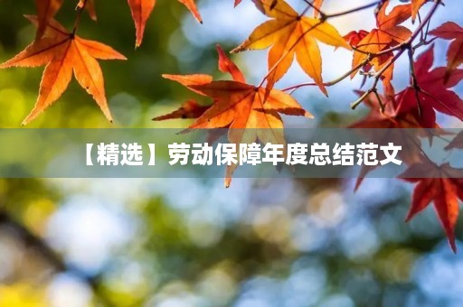 【精选】劳动保障年度总结范文 【精选】劳动保障年度总结范文