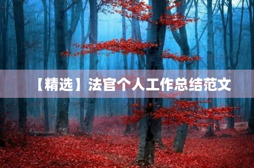 【精选】法官个人工作总结范文 【精选】法官个人工作总结范文