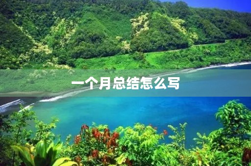 一个月总结怎么写 一个月总结怎么写