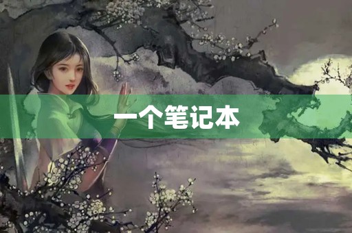 一个笔记本