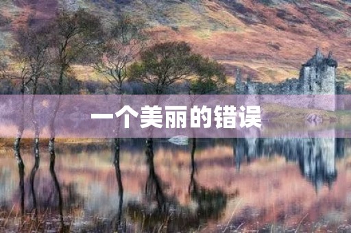 一个美丽的错误 一个美丽的错误