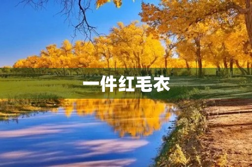 一件红毛衣