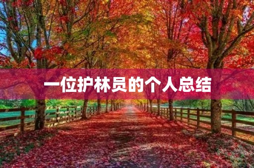 一位护林员的个人总结