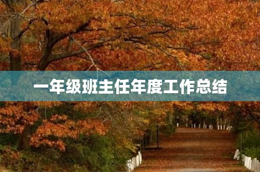 一年级班主任年度工作总结