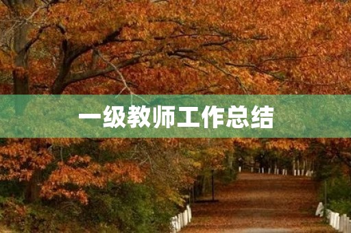 一级教师工作总结
