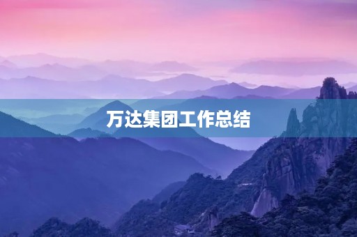 万达集团工作总结