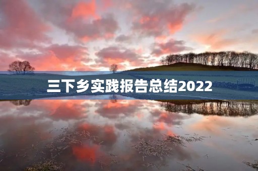 三下乡实践报告总结2022 三下乡实践报告总结2022