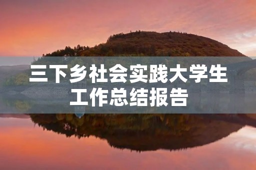 三下乡社会实践大学生工作总结报告