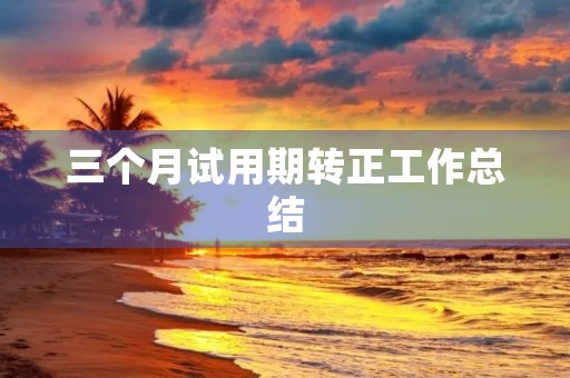 三个月试用期转正工作总结