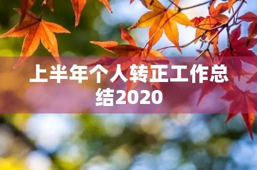 上半年个人转正工作总结2020