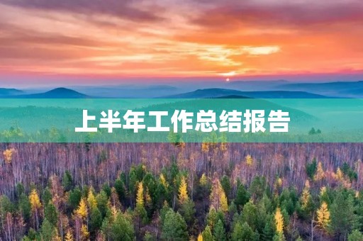 上半年工作总结报告(2023)