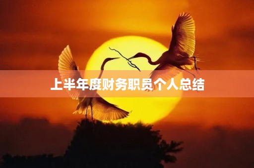 上半年度财务职员个人总结
