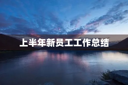 上半年新员工工作总结