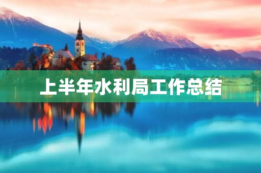 上半年水利局工作总结