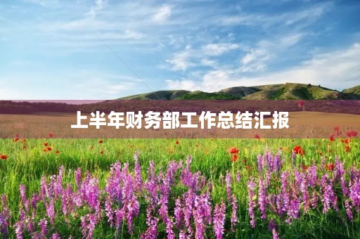上半年财务部工作总结汇报