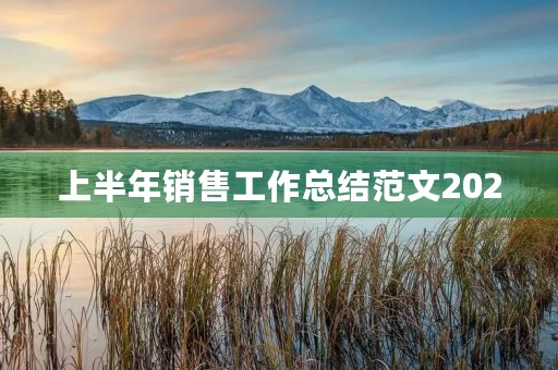 上半年销售工作总结范文2020