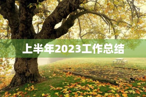 上半年2023工作总结(十篇)