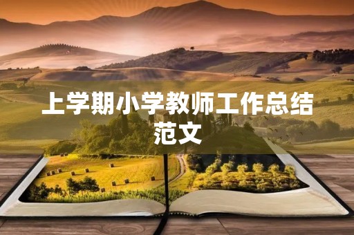 上学期小学教师工作总结范文