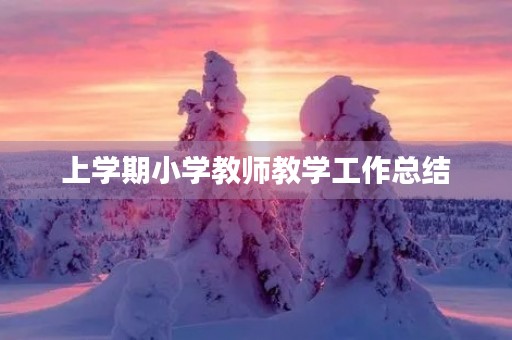 上学期小学教师教学工作总结