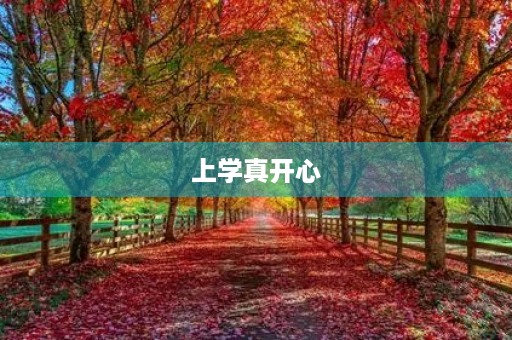 上学真开心