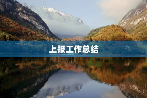 上报工作总结