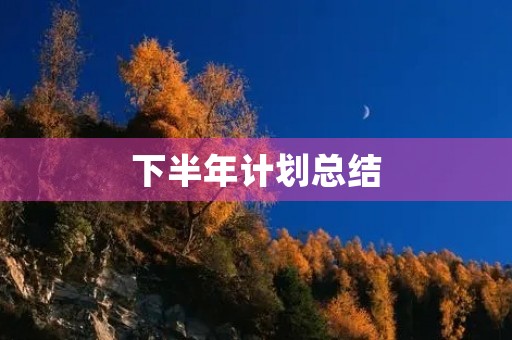 下半年计划总结