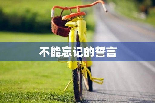 不能忘记的誓言 不能忘记的誓言