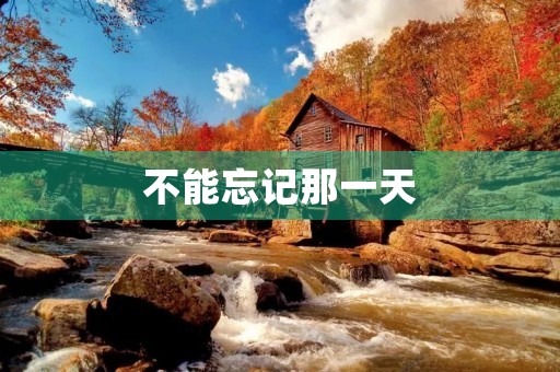 不能忘记那一天 不能忘记那一天