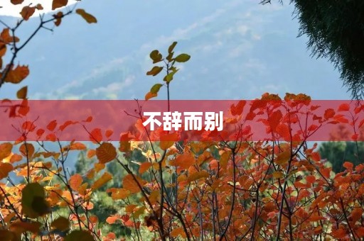 不辞而别 不辞而别