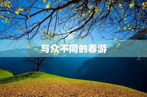 与众不同的春游 与众不同的春游