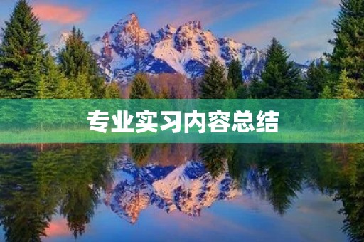 专业实习内容总结