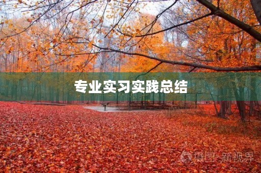 专业实习实践总结
