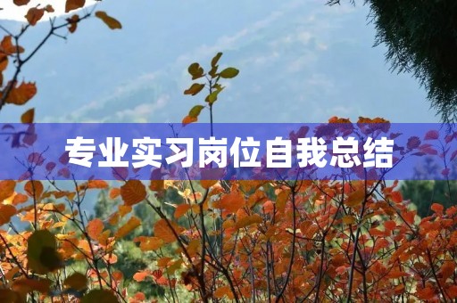 专业实习岗位自我总结