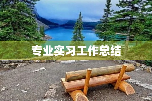 专业实习工作总结
