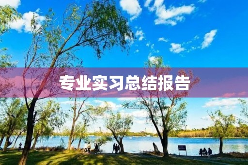 专业实习总结报告