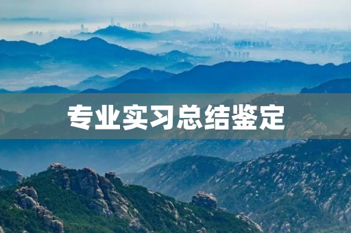 专业实习总结鉴定