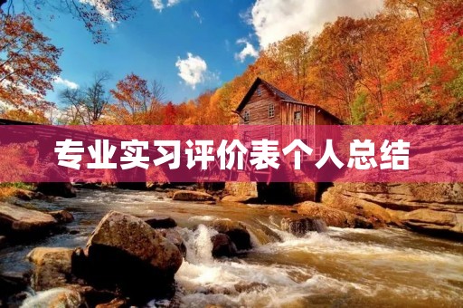 专业实习评价表个人总结