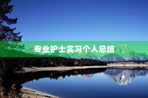 专业护士实习个人总结
