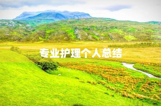 专业护理个人总结