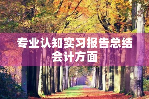 专业认知实习报告总结会计方面