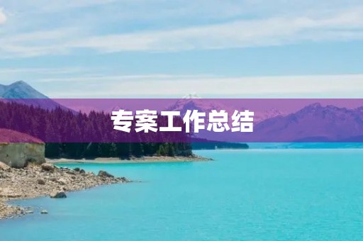 专案工作总结
