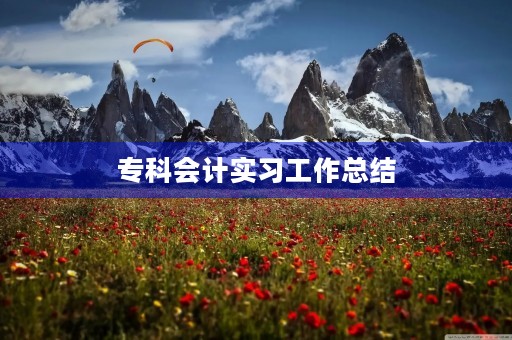 专科会计实习工作总结