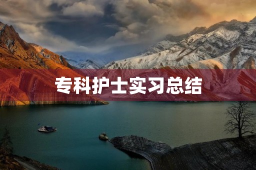 专科护士实习总结
