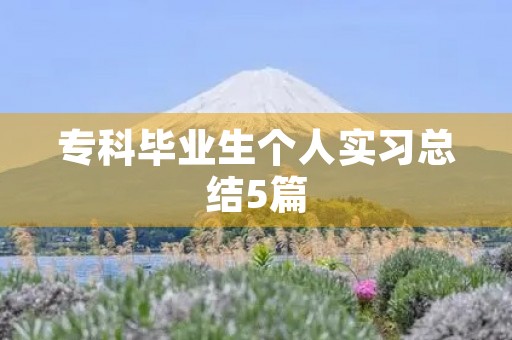 专科毕业生个人实习总结5篇