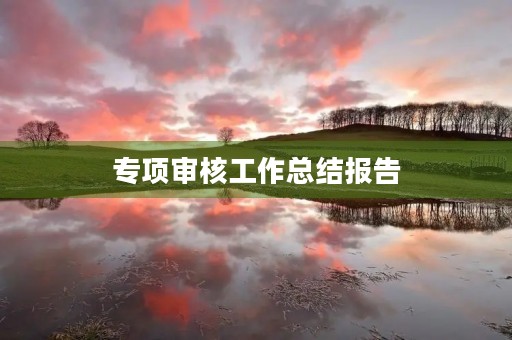 专项审核工作总结报告